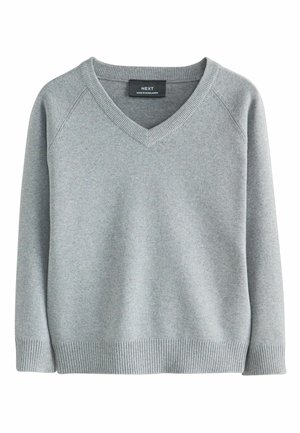 Light grey V-neck long-sleeve sweater with ribbed cuffs and hem, featuring a NEXT brand label at the neckline.