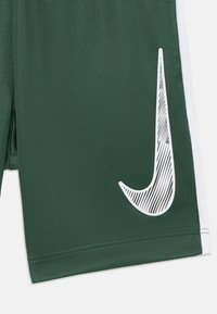 Shorts de sport verts en tissu respirant. Présentent un logo Nike blanc avec des détails rayés sur la jambe gauche. Bande latérale blanche.