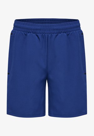 Blauwe sportshorts van lichtgewicht stof. Voorzien van een elastische tailleband en twee zijzakken. Minimalistisch ontwerp met zwarte accenten.