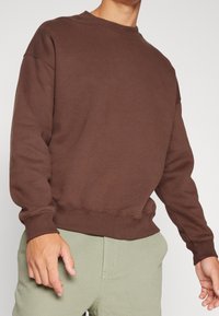 Sudadera de cuello redondo marrón con un corte relajado, puños y dobladillo acanalados. Textura suave, diseño minimalista, combinada con pantalones verde claro.