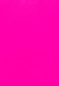 DIM GENEROUS CLASSIC BRIEF - Cuecas - fushia