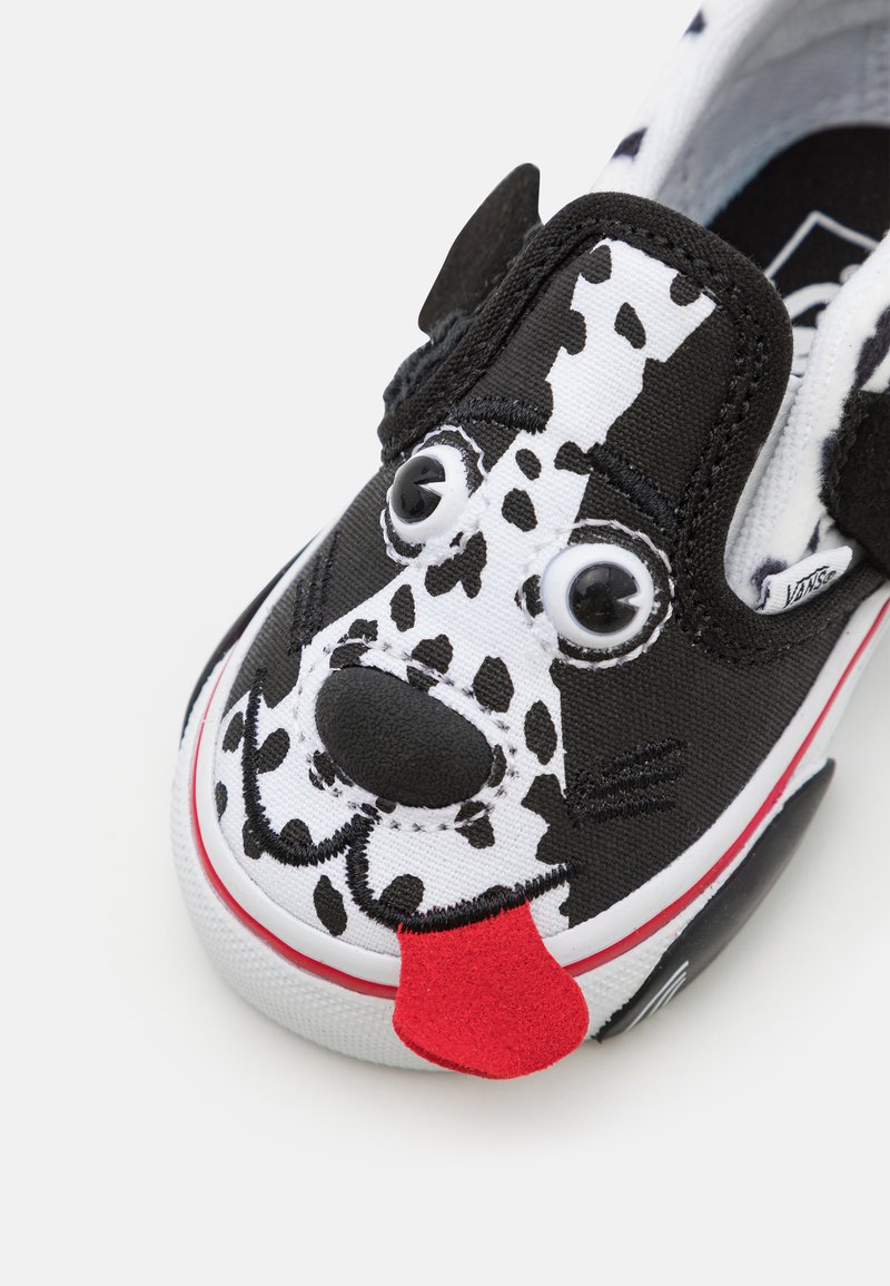 vans dog