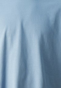 Jack & Jones PREMIUM JPRBLAHARVEY TEE UNISEX - Camiseta básica - troposphere