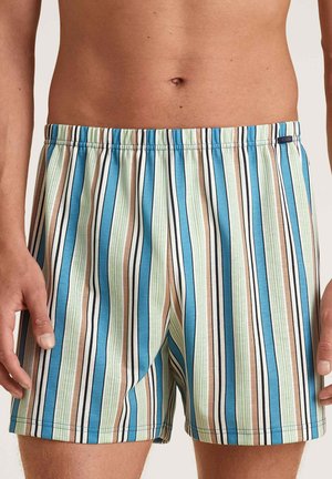Shorts de bain rayés avec des rayures verticales bleues, vertes, crème et marron. Ceinture élastique et tissu doux et léger.