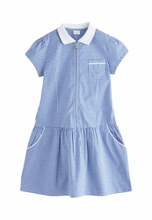 Blau-weißes Karokleid mit Peter-Pan-Kragen, kurzen Ärmeln, Taschen vorne und gerafftem Rock; aus leichtem Stoff gefertigt.