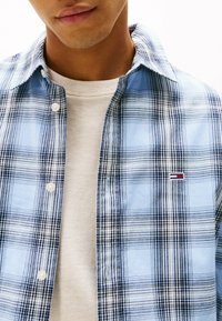 Blå og hvid ternet skjorte med knaprækkefølge og spids krave, lagdelt over en lys grå rundhalset sweater. Har Tommy Hilfiger-logo på brystet.