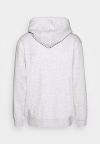 Sweat à capuche gris clair en tissu doux et texturé. Comprend une capuche avec cordon de serrage, des manches avec poignets, et une coupe décontractée. La vue de dos ne présente aucun détail de motif.