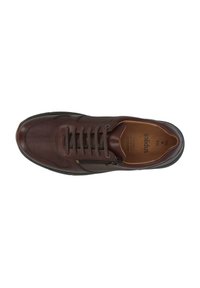 Solidus KAI - Casual lace-ups - braun