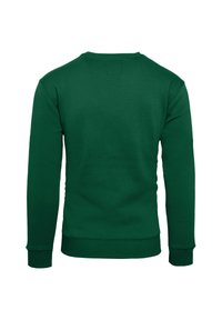 Felpa verde con collo a giro e maniche lunghe, realizzata in un materiale morbido. Presenta polsini e orlo a coste, con un design semplice e uniforme.
