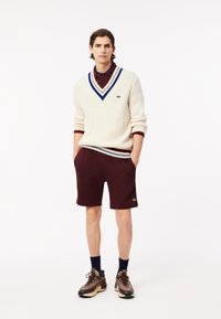 Witte gebreide trui met blauw en rood gestreepte afwerking, gecombineerd met kastanjebruine shorts. Bruine sneakers met patroon en marineblauwe sokken. Lacoste-logo zichtbaar.
