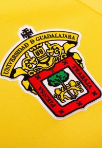 Geborduurd patch op een gele stof, met een wapen met ingewikkelde gouden ontwerpen, rode en groene accenten, en "Universidad de Guadalajara."