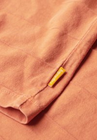 Superdry & Co Camiseta básica - smoked rust orange