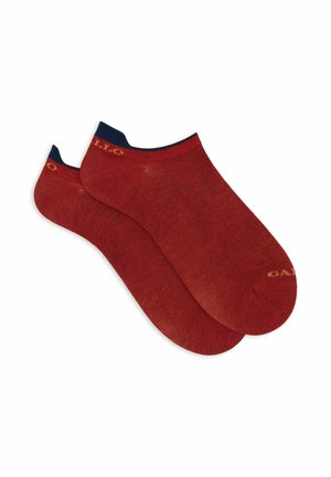 MIT SCHRIFTZUG - Calze - dark red