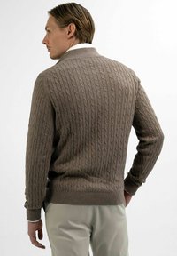 Bruine kabelbreisweater met een geribde kraag en manchetten. Zachte textuur, getailleerde pasvorm en een contrasterende lichtgekleurde overhemdkraag zichtbaar eronder.
