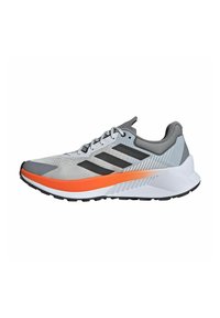 adidas Performance TERREX SOULSTRIDE FLOW - Zapatillas de trail running - dshgry carbon seimor