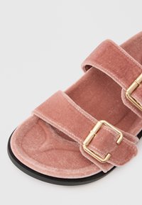 Sandal in velluto rosa con due fibbie dorate regolabili e una suola nera, presentata da un'angolazione ravvicinata su uno sfondo chiaro.