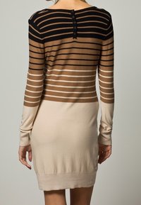 Robe en maille à manches longues, présentant des rayures horizontales en noir, marron et crème. Détail de boutons au dos du col, coupe ajustée.