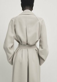 Beżowy trencz z paskiem w talii, długimi rękawami i designem z plisą z tyłu, wykonany z gładkiego materiału. Minimalistyczny i dopasowany wygląd.