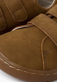 Pisamonas Beebijalatsid - topo