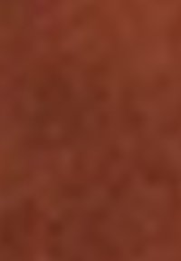 Rostfärgad texturerad yta med en lätt glans, som har en slät finish och subtila tonvariationer. Enhetlig och mjuk utseende.