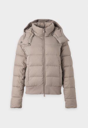 EA7 Emporio Armani, MOUNTAIN WINTER JACKET MEDIUM PADDED CORE - Vinterjakke - cinder