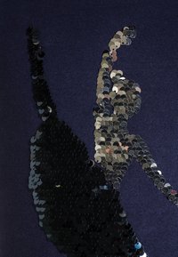 Černý design tanečnice z flitrů na tmavě modrém textilním pozadí. Hladký povrch s reflexními detaily, které vytvářejí třpytivý efekt.