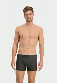 Szürke boxer alsónadrág sima anyagból, logós derékpánttal. Fitted fazonnal és puha tapintással rendelkezik. Egyszerű dizájn.