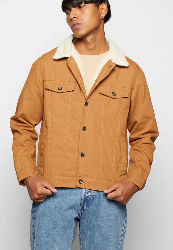 PRINCETON JACKET UNISEX - Light jacket - chipmunk4