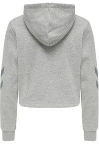 Hoodie cropped gris avec capuche. Il présente des manches longues avec des détails en chevron gris sur les bras. Fabriqué en tissu doux et texturé.