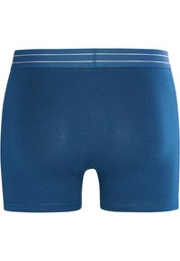 Cristiano Ronaldo CR7 Boxer brief - multicolour