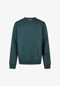 Unselected, magical forest