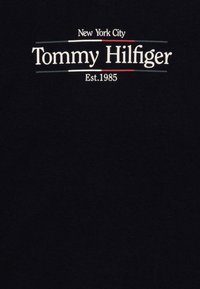 Tommy Hilfiger ICON PRINT REGULAR TEE  - T-shirt con stampa - desert sky
