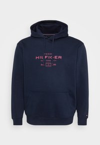 GRAPHIC HOODIE - Sweatshirt - desert sky