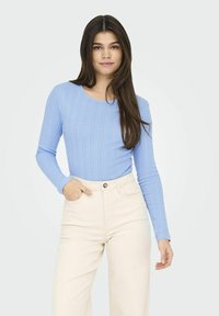 JDY JDYSALSA MIA LIFE O NECK - Pikkade varrukatega topp - serenity