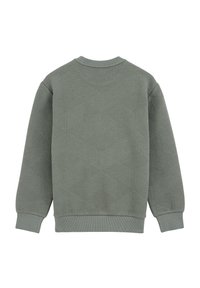 WE Fashion BLUE RIDGE - Mikina - olive green