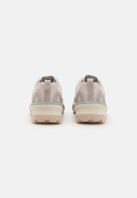 Adidas Terrex TERREX SKYCHASER - Obuća za pješačenje - putty mauve/grey two