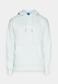 Ljus mintgrön hoodie i mjukt tyg med framficka, dragsko i huvan och präglad vit text på bröstet.