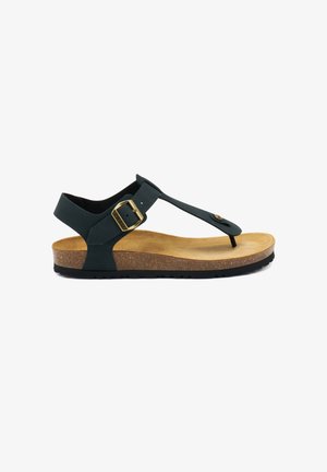 Frau Shoes, NUBUCK - Sandalias de dedo - blue