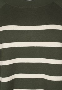 Maglione verde a maglia con strisce bianche orizzontali. La texture è liscia, con scollo rotondo e maniche raglan.