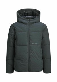 Tamnozeleni puffer kaput s kapuljačom, s patentnim zatvaračem, kviltanim dizajnom i logom na lijevoj strani prsnog područja. Glatka tekstura.