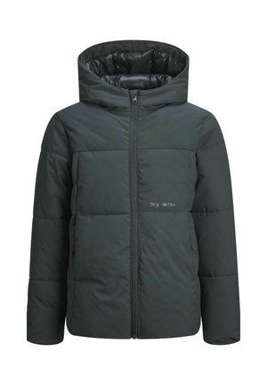 JORVESTERBRO PUFFER - Winter jacket - forest river