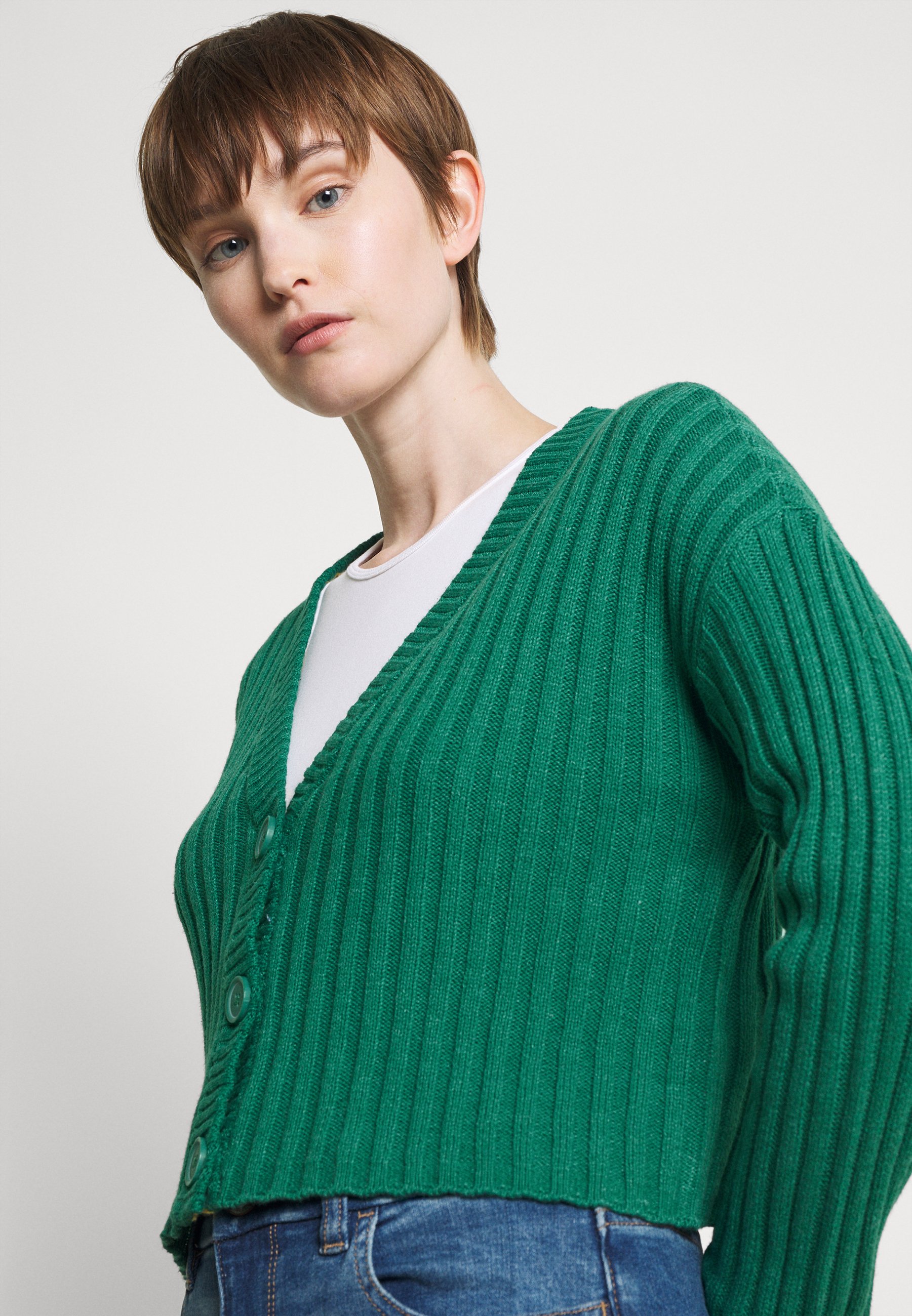 American Eagle FIRST LAYER - Cardigan 