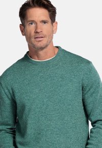 Groene crewneck trui van gebreid textiel, met een effen kleur en een klassieke fit met lange mouwen.