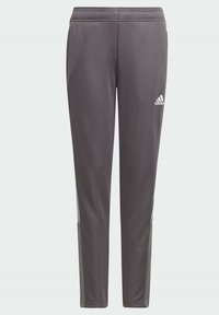 Graue Sporthose mit elastischem Bund, schmal zulaufendem Schnitt und weißem Logo. Hergestellt aus glattem, leichtem Material mit seitlichen Akzenten.
