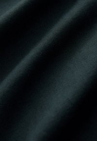 Tejido oscuro con textura y un sutil brillo, mostrando suaves pliegues y un acabado liso. El color parece un negro profundo.