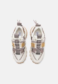 Steve Madden TAZMANIA - Trainers - pewter/gold