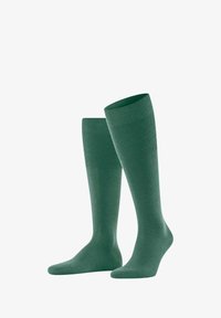 Unausgewählt, caiman