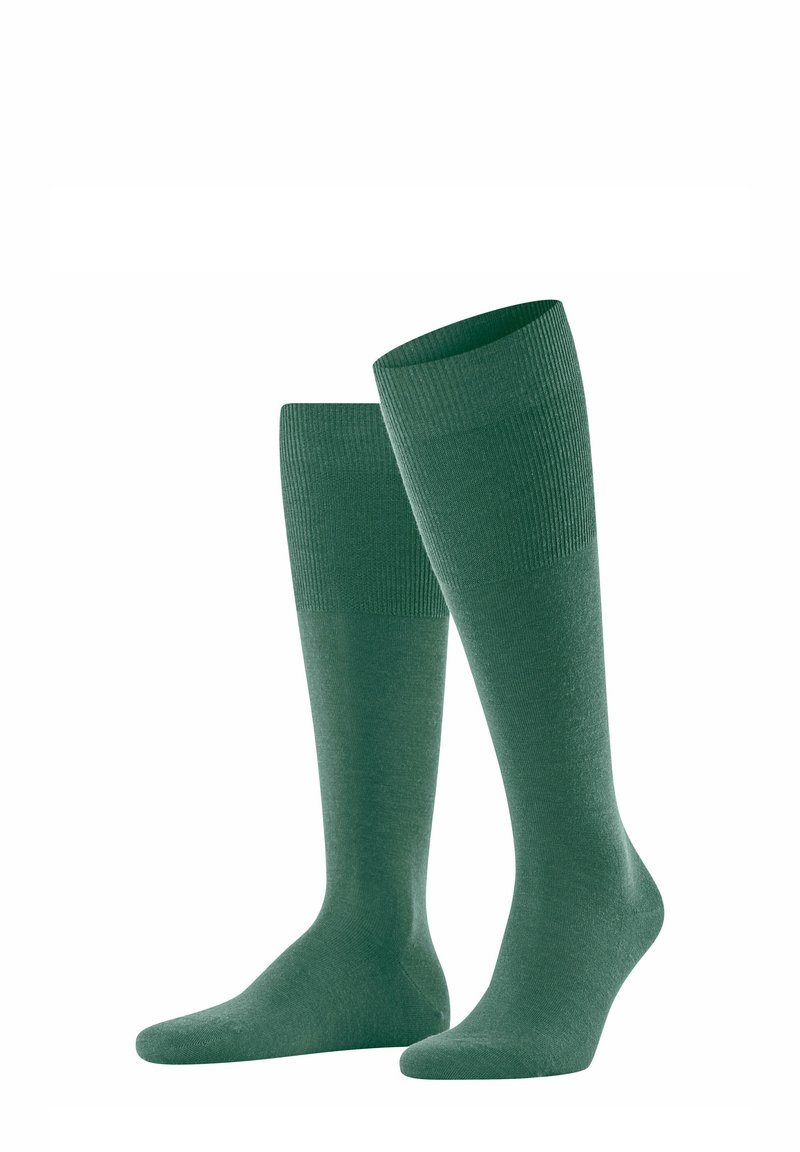 FALKE AIRPORT - Calzettoni - caiman