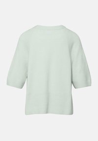 Licht muntgroene gebreide trui met korte mouwen, geribbelde zoom en manchetten, gezien van achteren op een witte achtergrond.