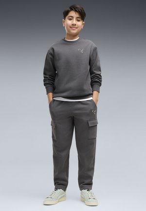 Puma, ESSENTIALS ELEVATED RELAXED TRAININGSANZUG SET - Træningssæt - moody gray